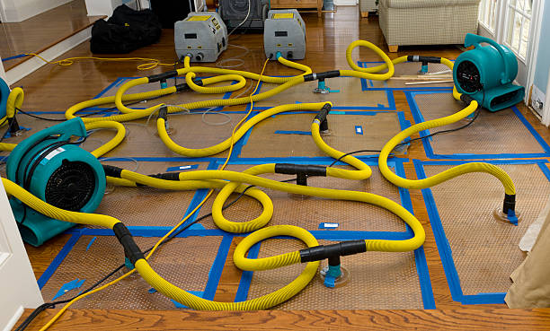 Professional Storm Water Damage Restoration technician working in Kensington, CT